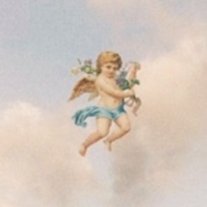 Meet your Posher, Clara